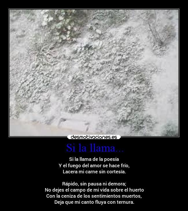 Si la llama... - 