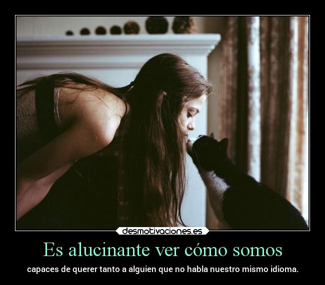 Es alucinante ver cómo somos - 