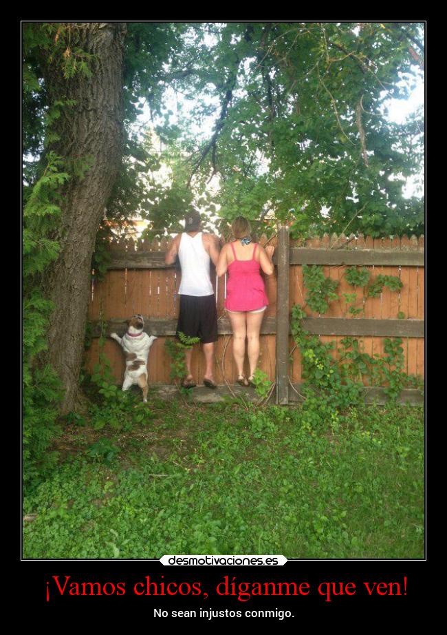¡Vamos chicos, díganme que ven! - 