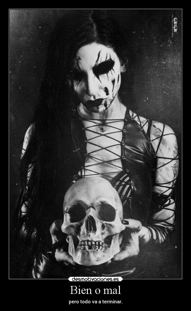 carteles desmotivaciones soyunidiotatm projectd rbk panda desmotivaciones