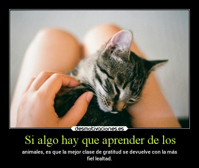 Si algo hay que aprender de los -