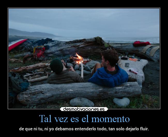 Tal vez es el momento - de que ni tu, ni yo debamos entenderlo todo, tan solo dejarlo fluir.