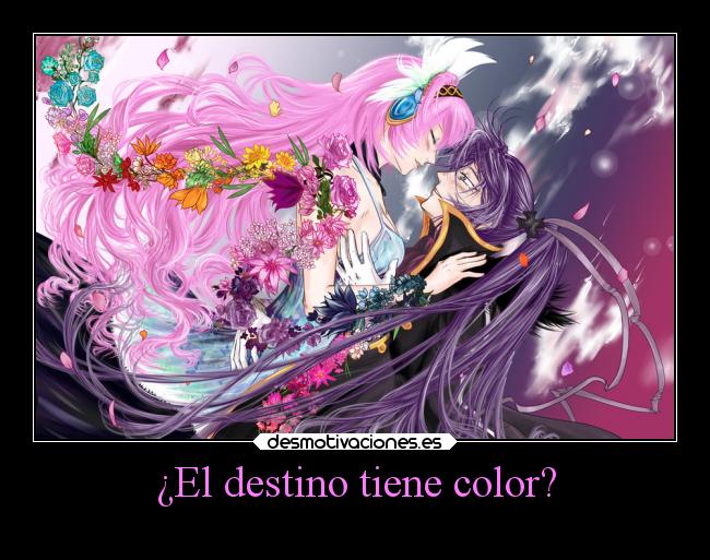 ¿El destino tiene color? - 