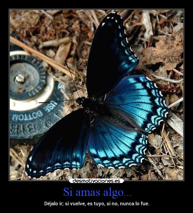 carteles destino distancia corazon amor desmotivaciones