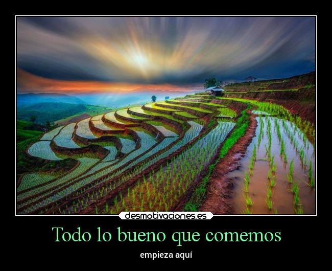 carteles dinero destino comida desmotivaciones