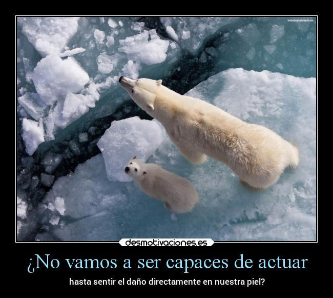 ¿No vamos a ser capaces de actuar -