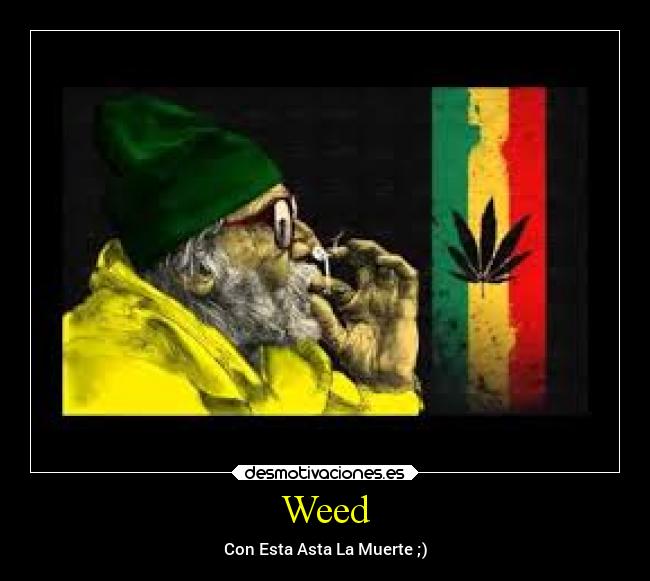 carteles dolor desmotivaciones