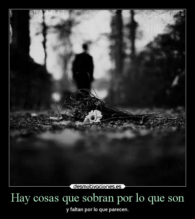 carteles dormir bogota sentimientos motivaciones cawids estupidarazon sobrar faltar ser parecer desmotivaciones