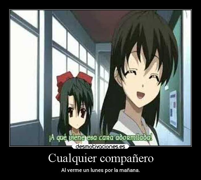Cualquier compañero - 