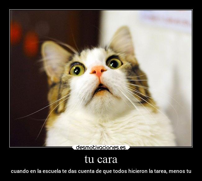 carteles escuela tipico desmotivaciones