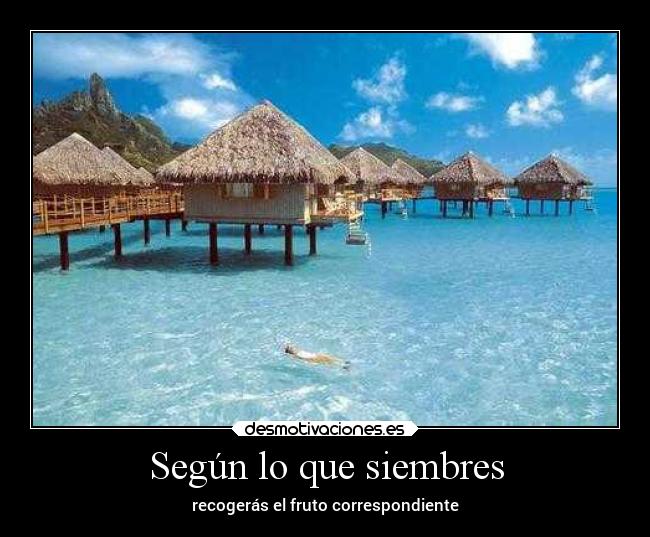 Según lo que siembres - recogerás el fruto correspondiente