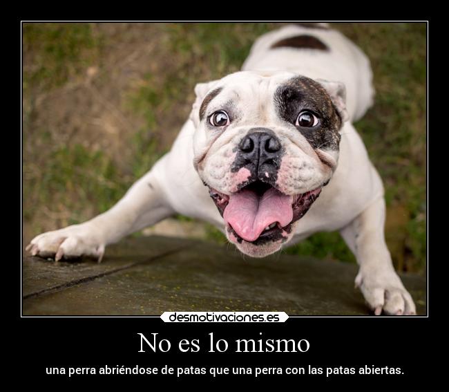 carteles fail humor ideas imaginacion sexo desmotivaciones