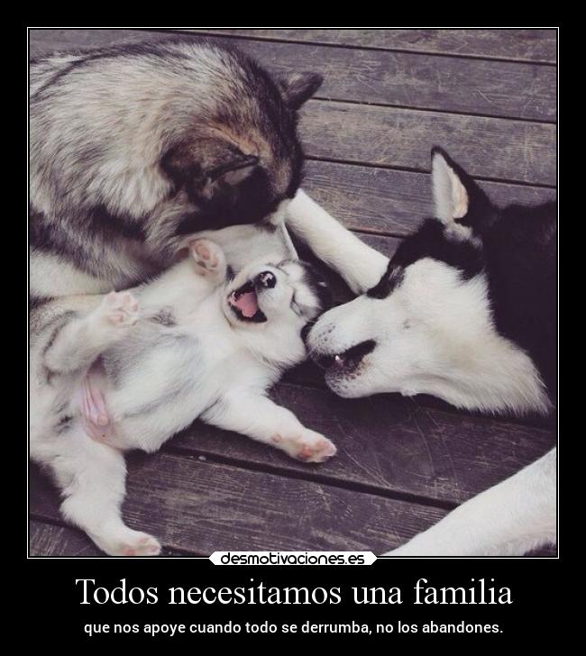 carteles familia alma desmotivaciones