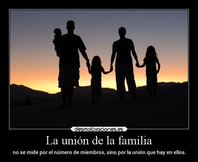 carteles familia familia desmotivaciones