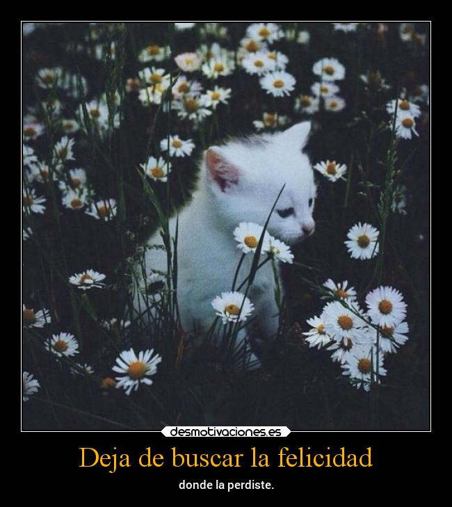 http://img.desmotivaciones.es/201506/felicidad-alma-desmotivaciones.jpg