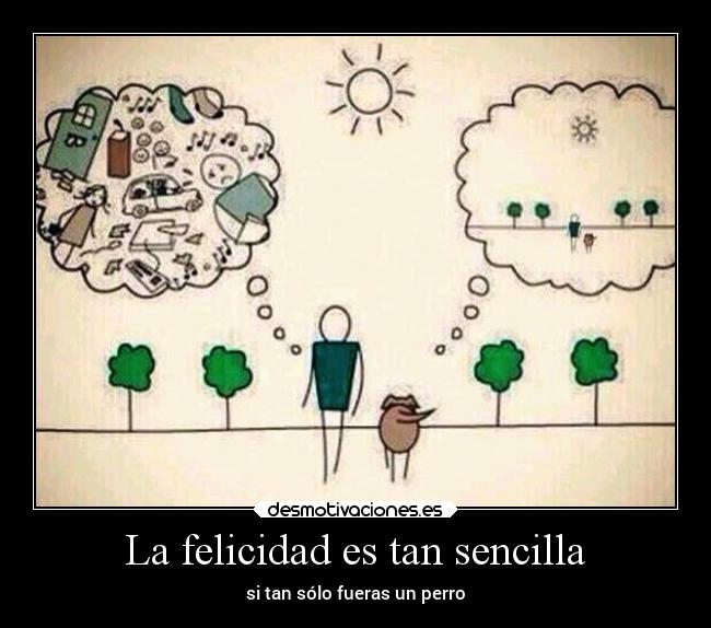 La felicidad es tan sencilla - si tan sólo fueras un perro