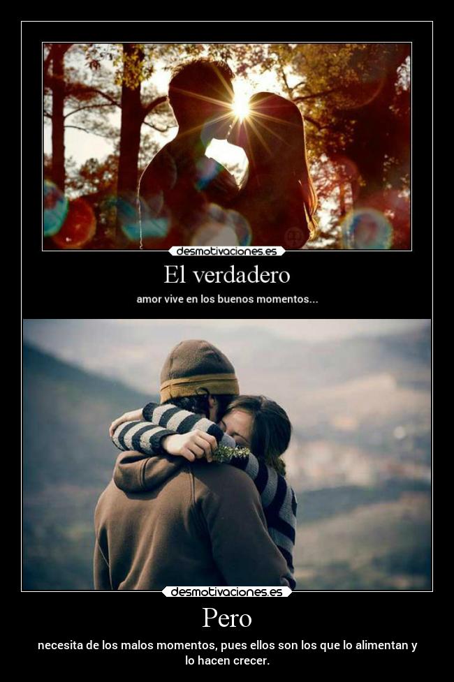 carteles felicidad familia destino corazon confianza amor desmotivaciones