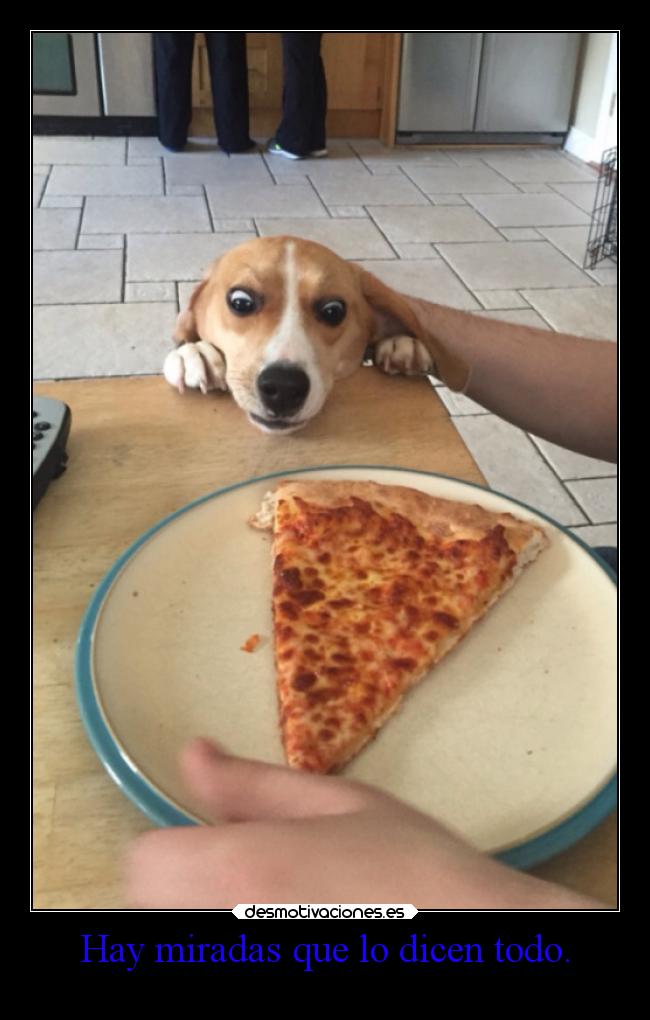 Hay miradas que lo dicen todo. -