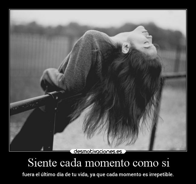 carteles felicidad motivaciones sentimientos vida desmotivaciones