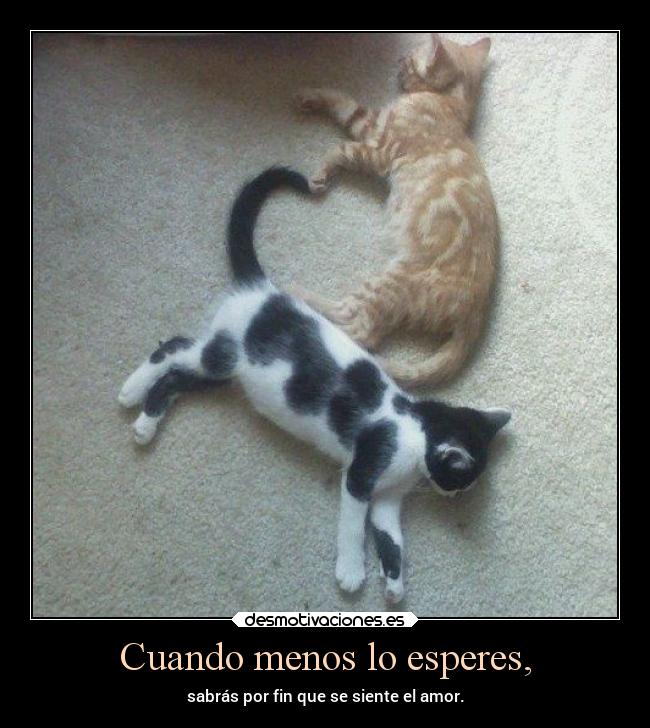 Cuando menos lo esperes, - sabrás por fin que se siente el amor.