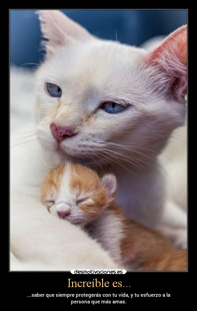 Increíble es... - ...saber que siempre protegerás con tu vida, y tu esfuerzo a la
persona que más amas.