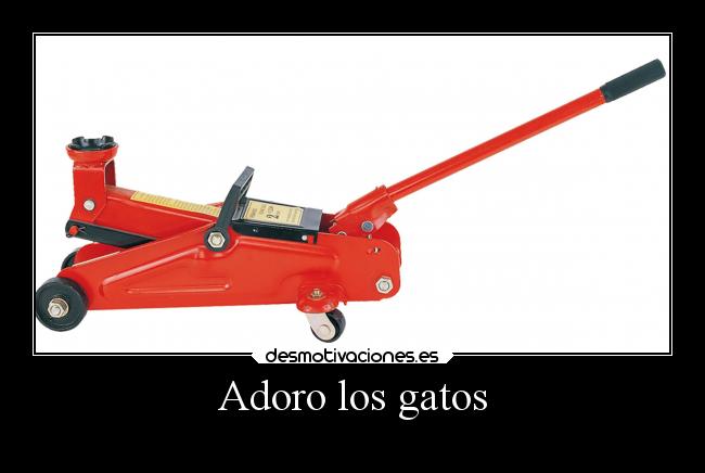 Adoro los gatos - 