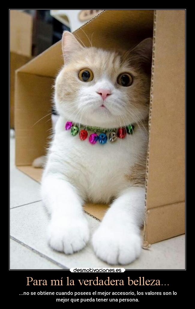 Para mí la verdadera belleza... - ...no se obtiene cuando posees el mejor accesorio, los valores son lo
mejor que pueda tener una persona.