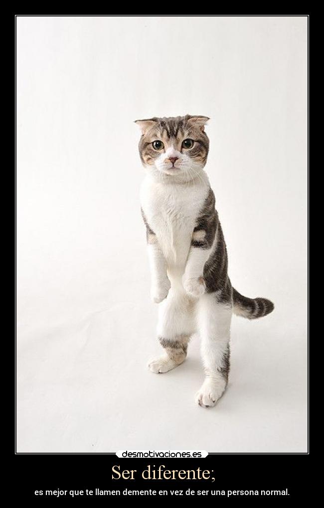Ser diferente; - es mejor que te llamen demente en vez de ser una persona normal.