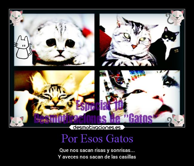 Por Esos Gatos - 