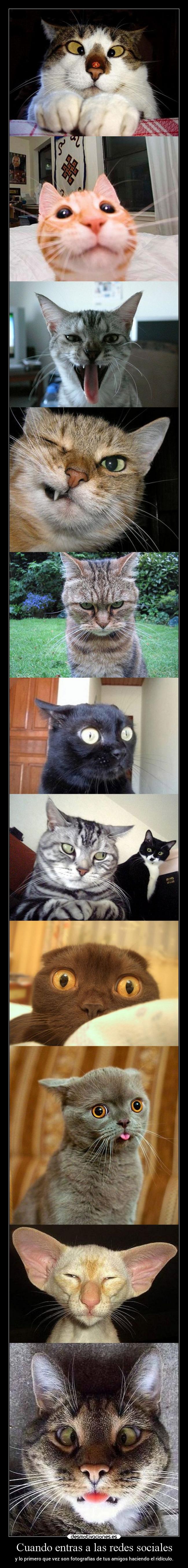 Cuando entras a las redes sociales -