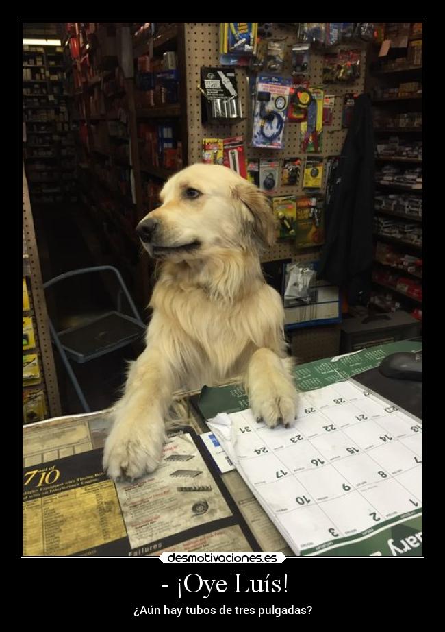- ¡Oye Luís! - ¿Aún hay tubos de tres pulgadas?