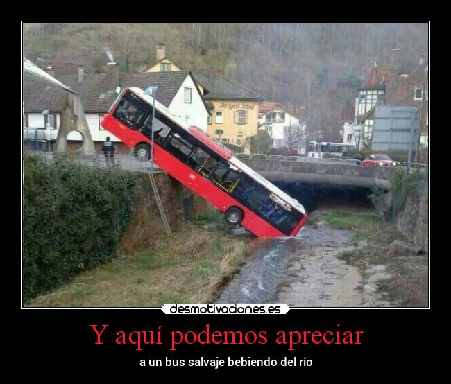 Y aquí podemos apreciar -