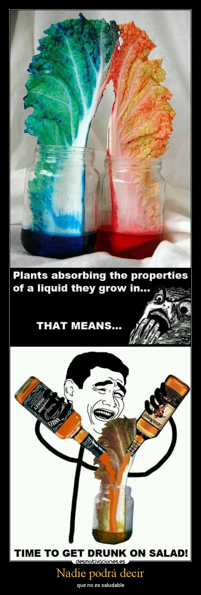 Nadie podrá decir - que no es saludable