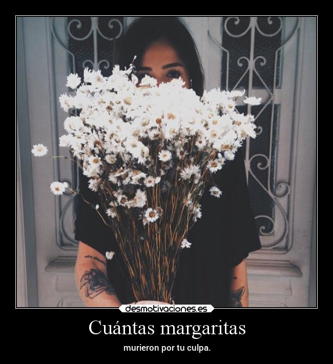 Cuántas margaritas - 