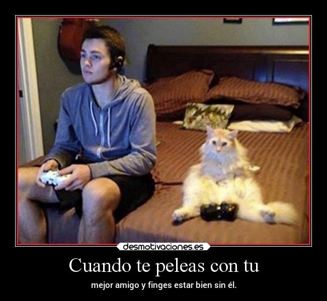 Cuando te peleas con tu - mejor amigo y finges estar bien sin él.