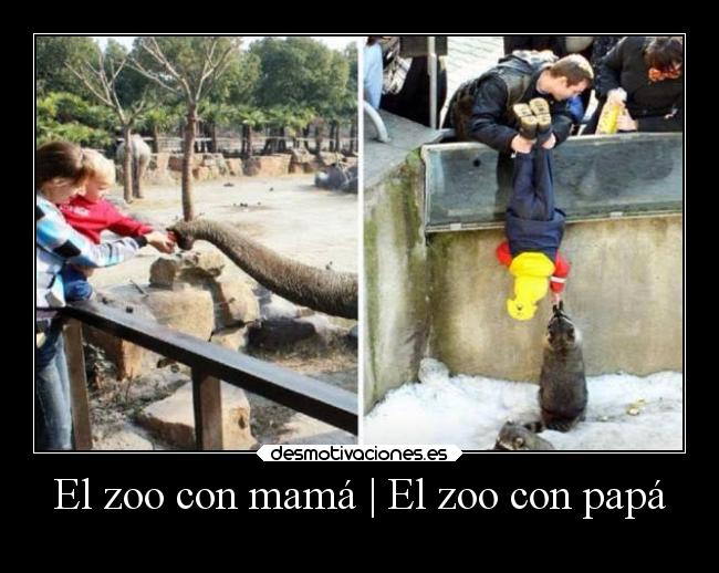 carteles humor animales padres graciosas madres hijos zoo lluwuachu rilacs desmotivaciones