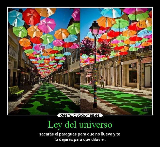 carteles humor desmotivaciones destino verano vida dingoo manada32 desmotivaciones