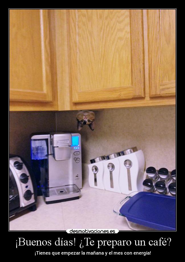 ¡Buenos días! ¿Te preparo un café? -