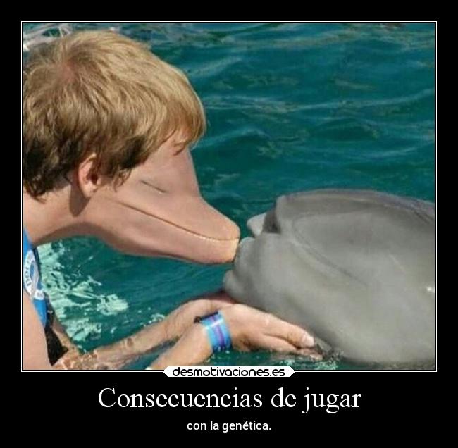 carteles humor imagenesgraciosa zarcortgame clanfhag sameshitdifferentday desmotivaciones