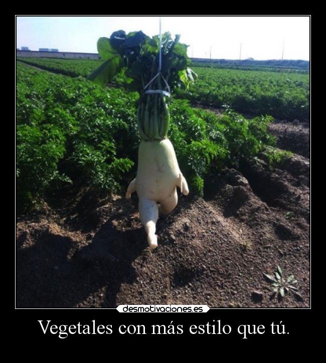 Vegetales con más estilo que tú. -