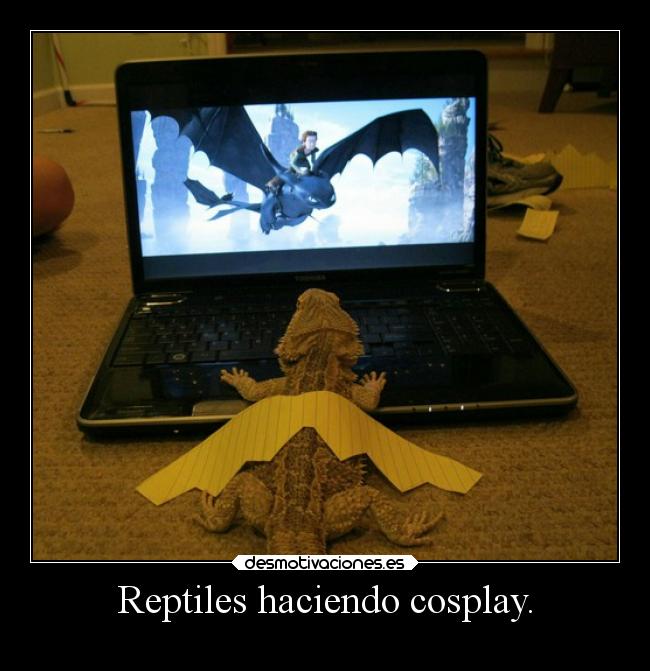 Reptiles haciendo cosplay. -