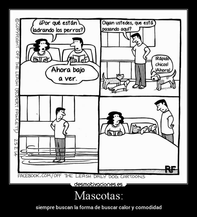 Mascotas: - 