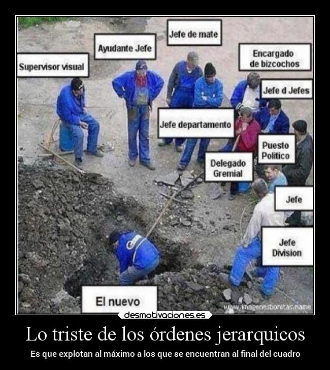 Lo triste de los órdenes jerarquicos - Es que explotan al máximo a los que se encuentran al final del cuadro