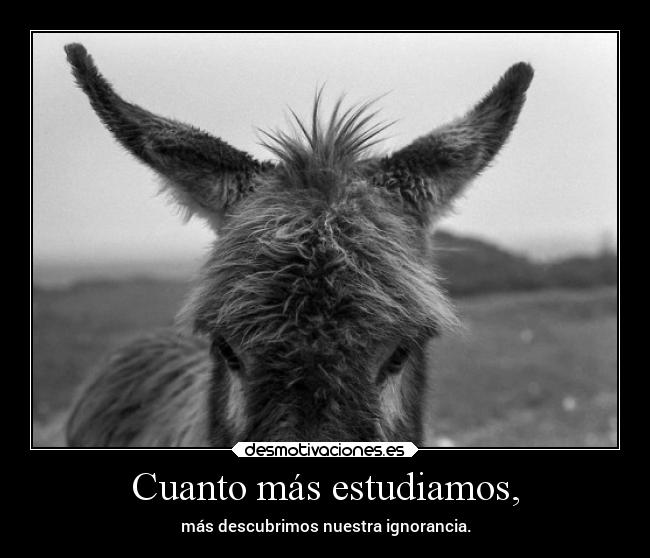 Cuanto más estudiamos, - más descubrimos nuestra ignorancia.