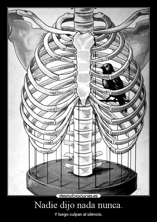 Nadie dijo nada nunca. - Y luego culpan al silencio.