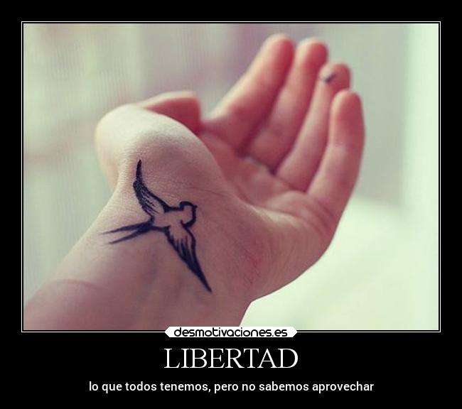 carteles libertad confianza desmotivaciones