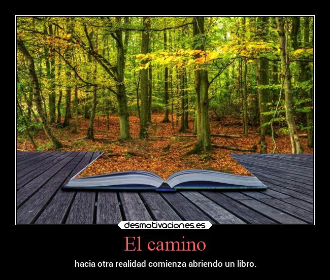 El camino - hacia otra realidad comienza abriendo un libro.