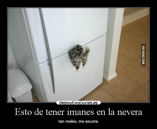 Esto de tener imanes en la nevera - 