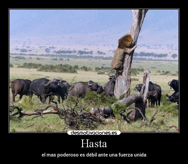 Hasta - el mas poderoso es débil ante una fuerza unida