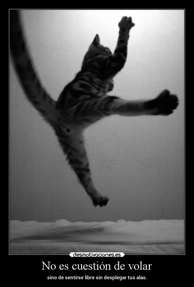 No es cuestión de volar - sino de sentirse libre sin desplegar tus alas.